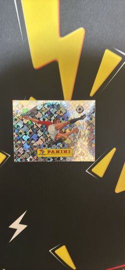 Rare panini sticker