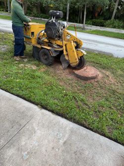 Stump Grinding molemos troncos y raises