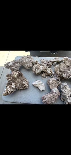 Reef Rock