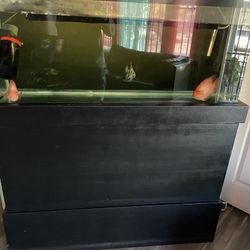 55 Gallon Fish Tank For Sale 