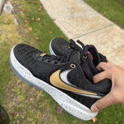 LeBron 20