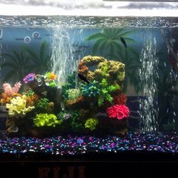 100 Gallon Acrylic Fish Tank 