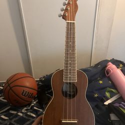 Fender Ukulele Brown 60$  