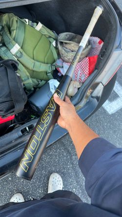 Easton Beast Bat