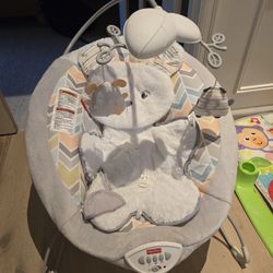 Fisher Prise Baby Bouncer