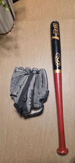Baseball Glove & Bat