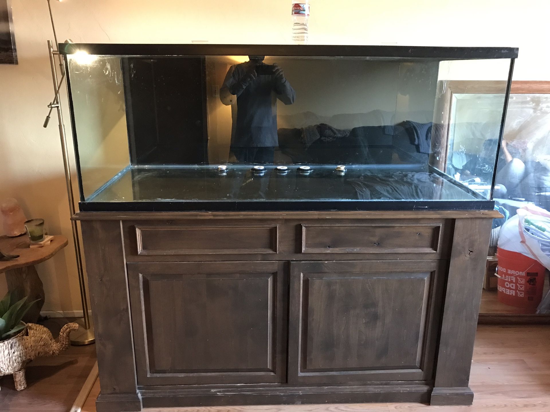 Aquarium 200gallon with custom built stand