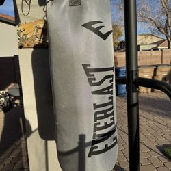Everlast Punching Bag With Stand And Weights 