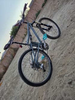 Santa cruz