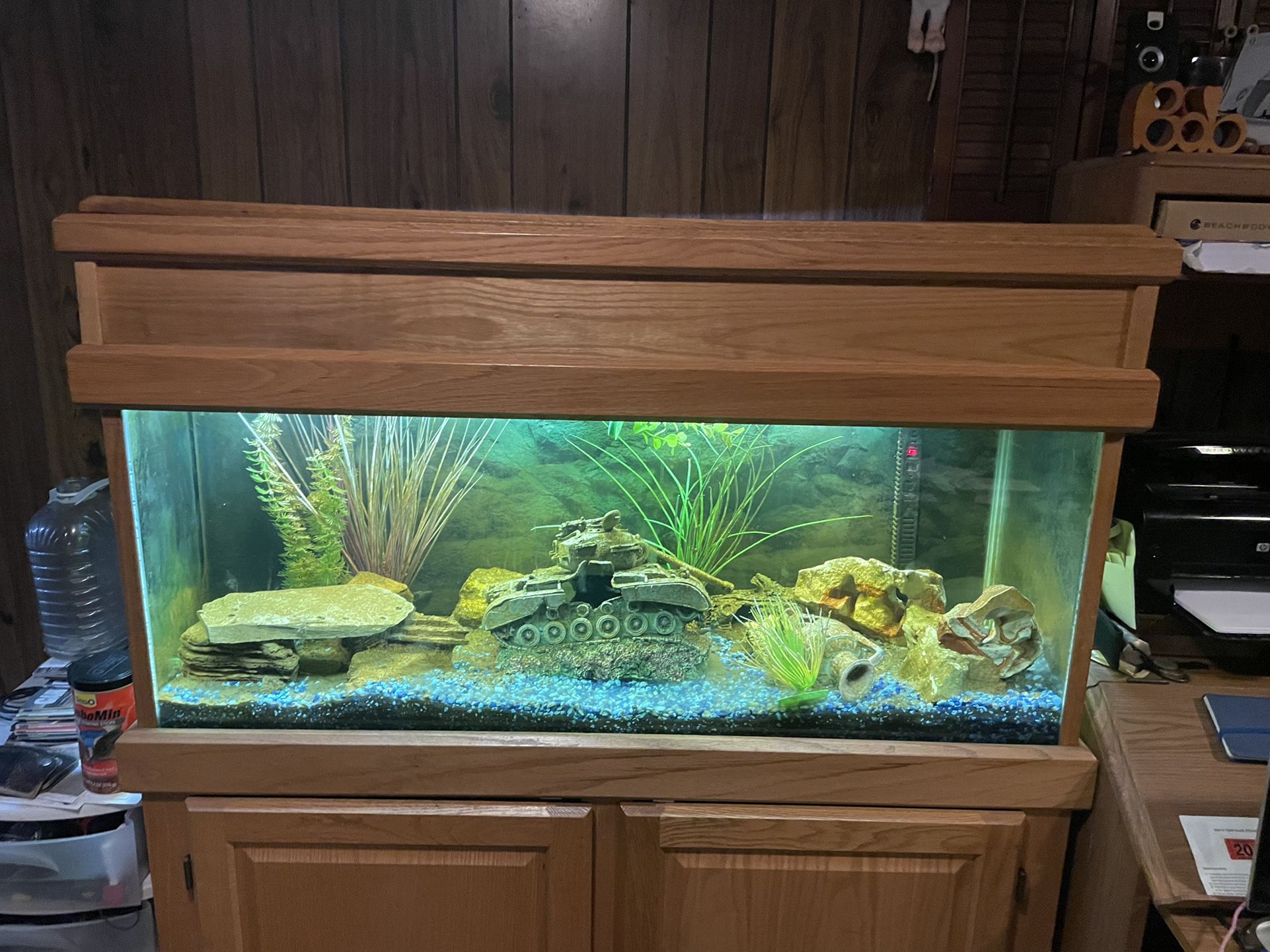 90 Gallon Glass Fish Tank With Oak Top And Oak Base For Sale In Queens, Ny  - Offerup