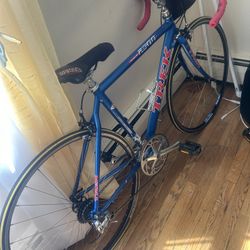 Trek $250
