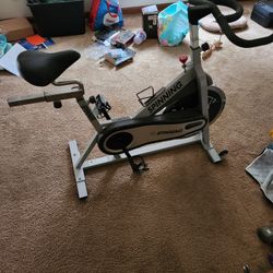 Spin Bije