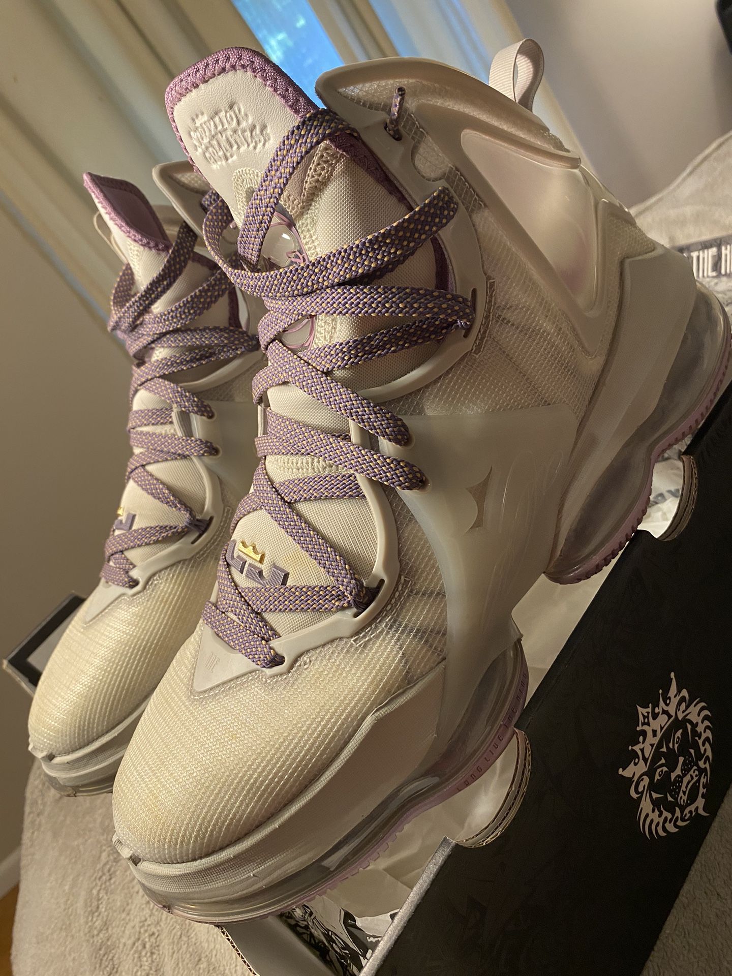  Men’s Nike LeBron 19 (Size 13)