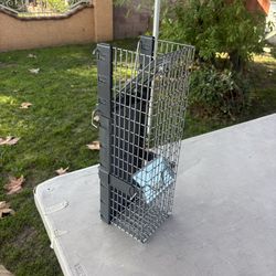 Animal Trap 