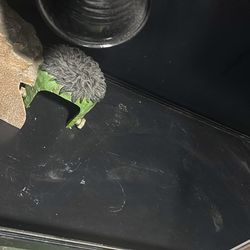 Reptile Tank with lighting fixture