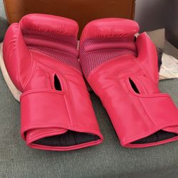 Kickboxing Gloves