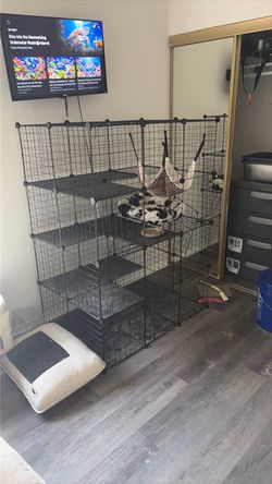 Catio