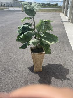 Artificial Plant