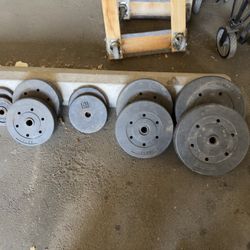 Standard size weights 25lbs 15lbs 10lbs 5lbs