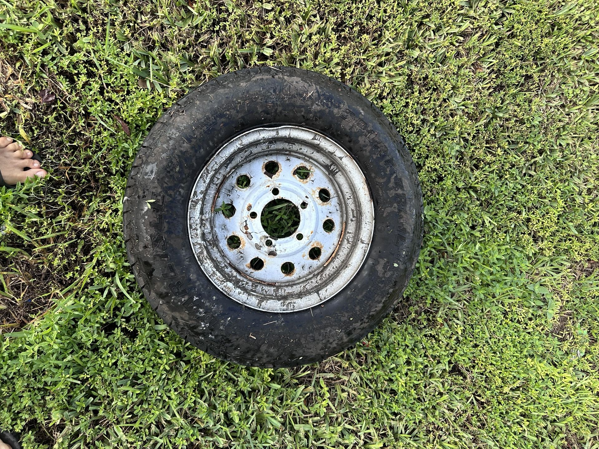 Wheel For 10$ Firm