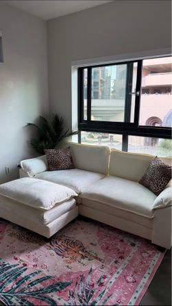 Couch,plant and rug