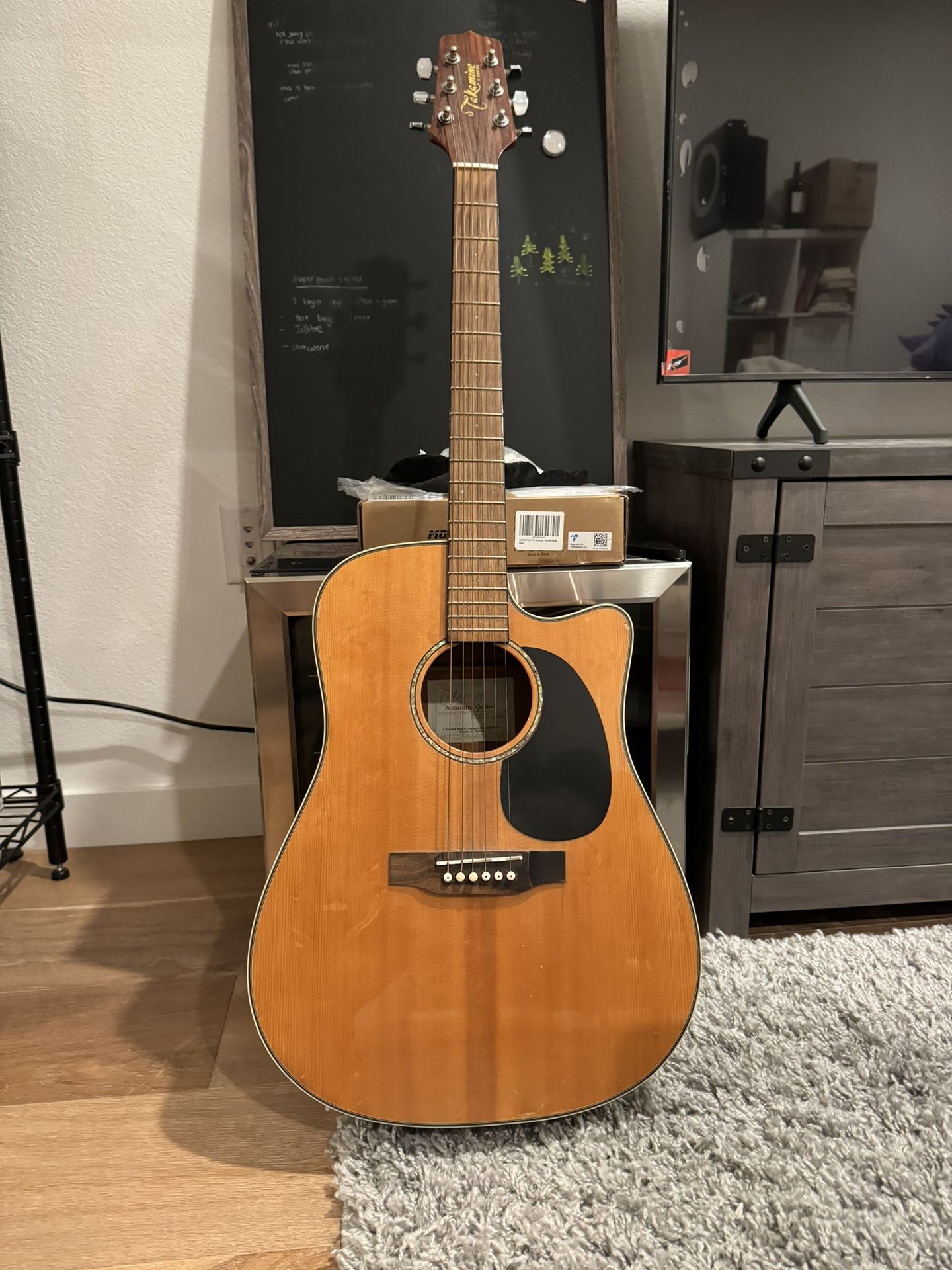 Takamine EG530SSC Acoustic Guitar