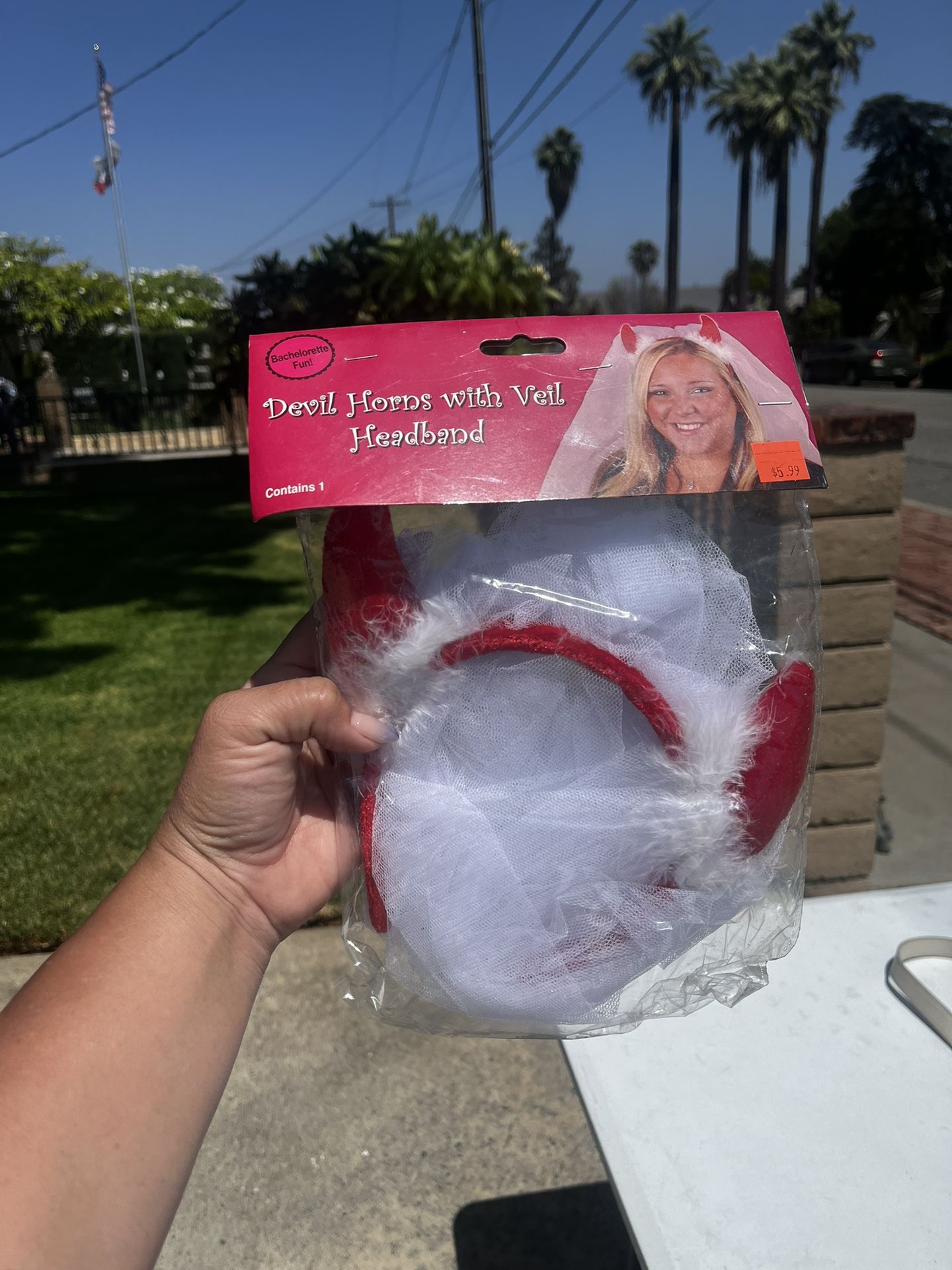 Bridesmaids/ 21 Birthday Sashes, Divorced Diva Headband