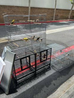 Bird cages