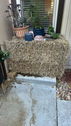 Hay
