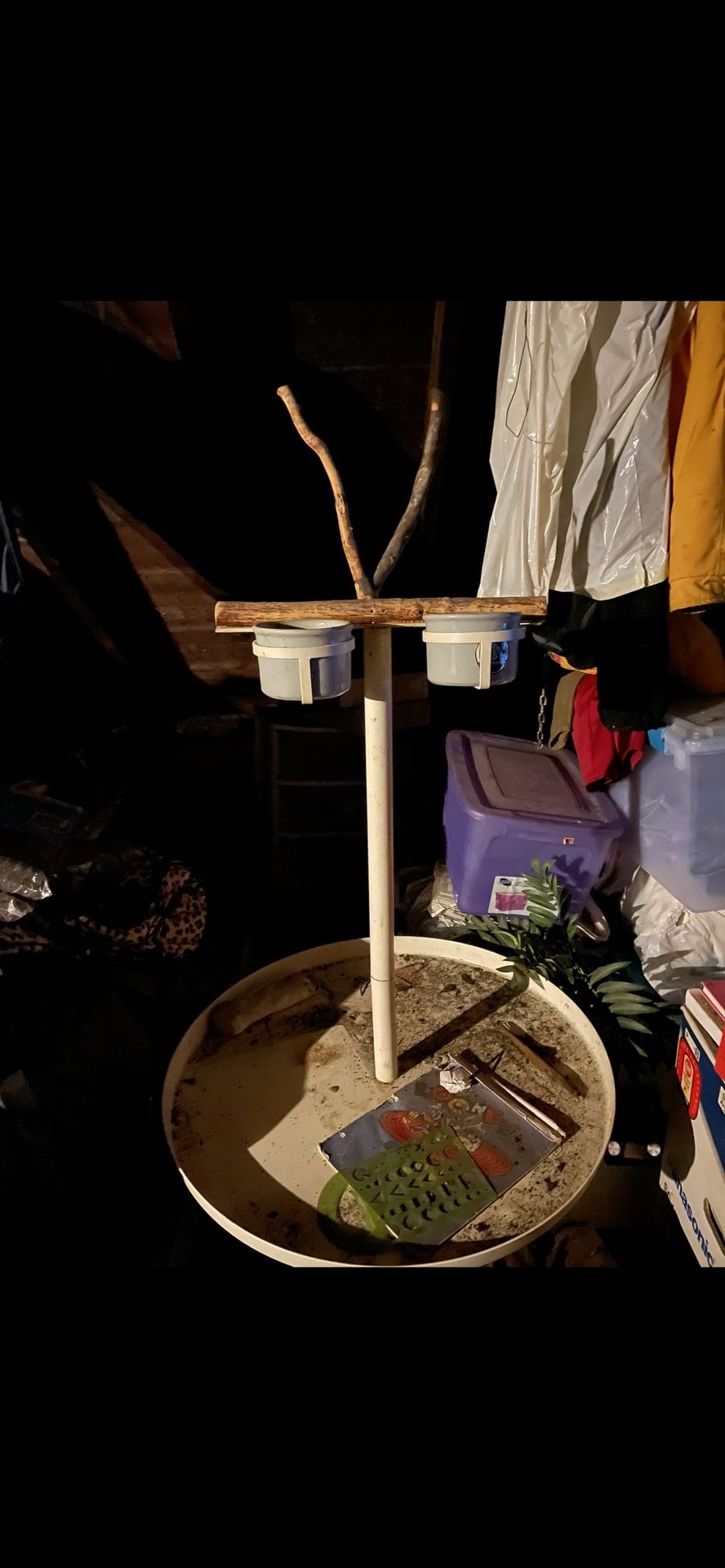 Parrot Pirch Stand