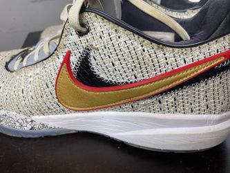 LEBRON XX HOME