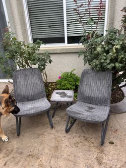 Patio Chairs