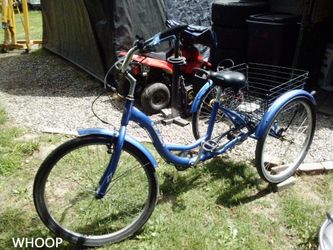 Schwinn tricycle