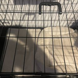 Dog Crate with pillow and mat