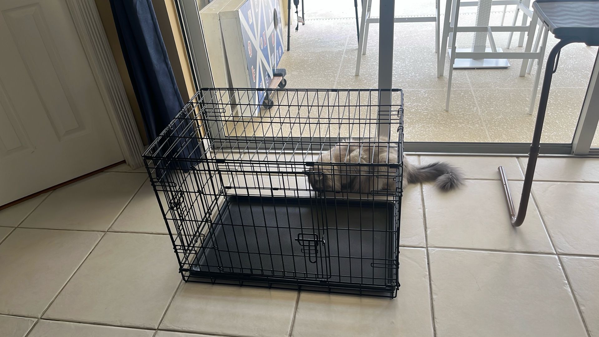 Dog Crate (Collapsable)
