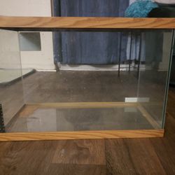 20 Gallon Tank 