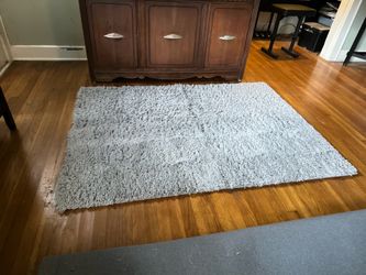 Room Essentials Gray Shag Rug (48”x 66”)