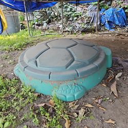 Sand box turtle