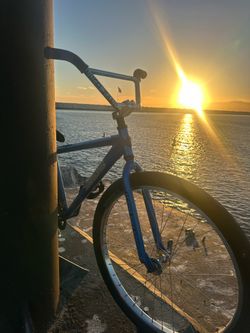 Throne 29er