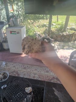 Rock with a bunch of mica shards