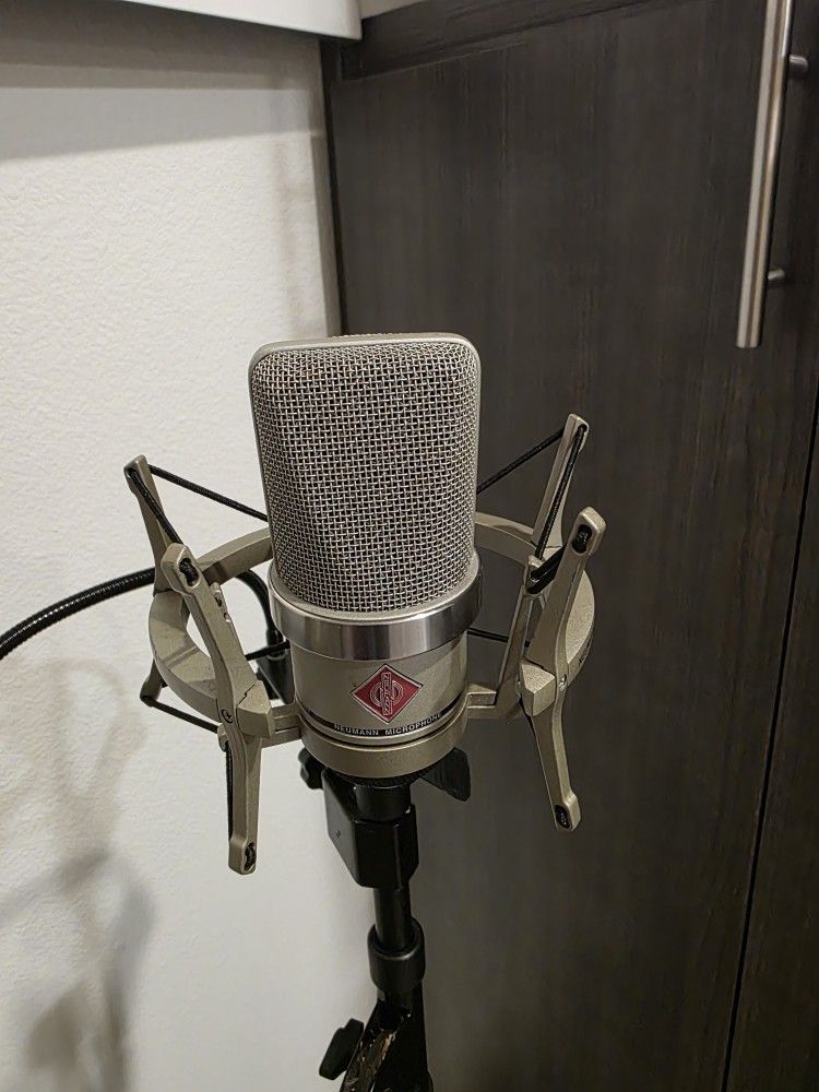 Neumann TLM 102 Condenser Mic