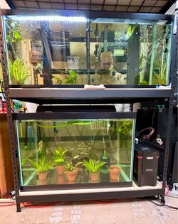 Aquariums for sale