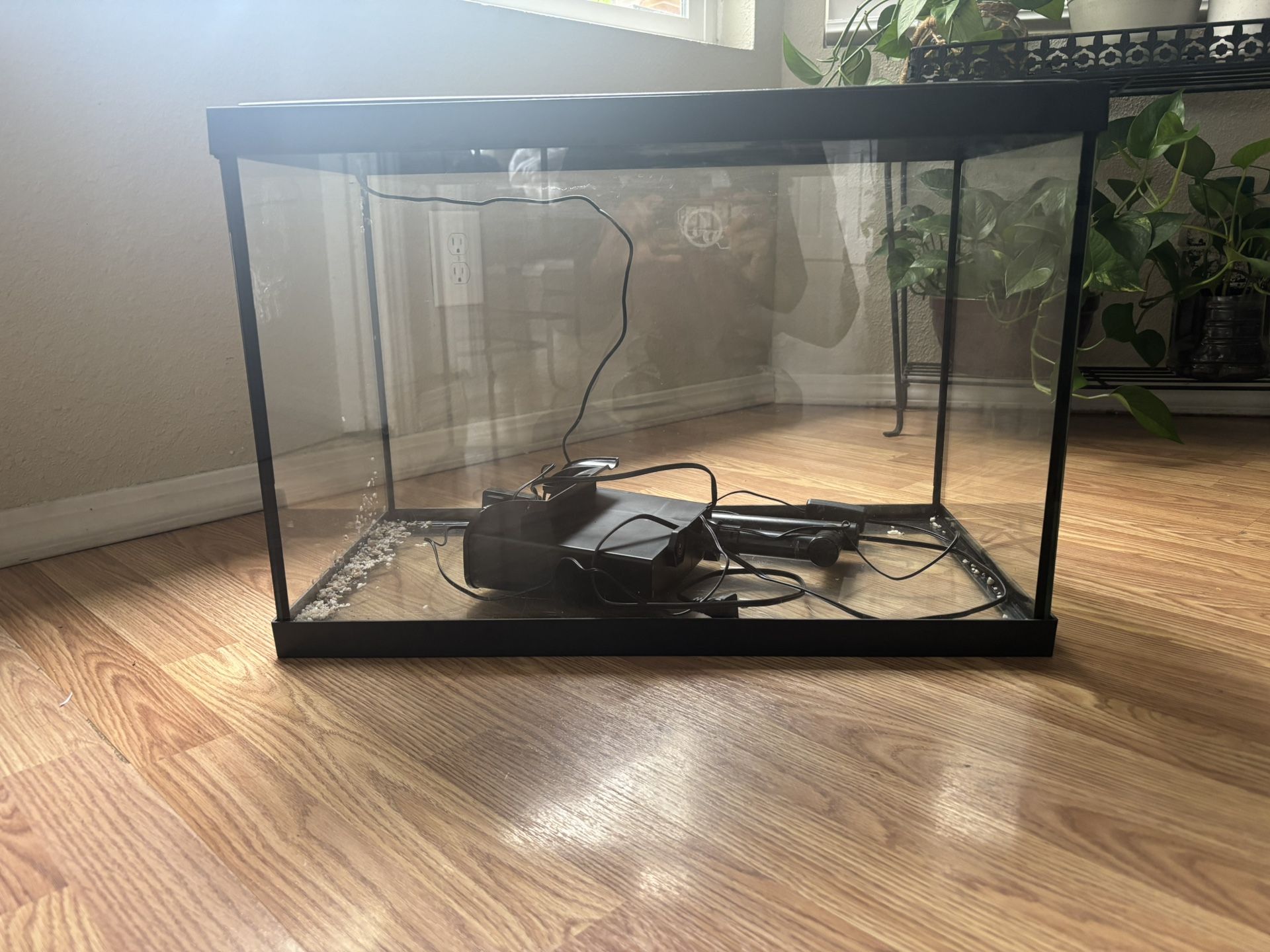 20 Gallon Fish tank!