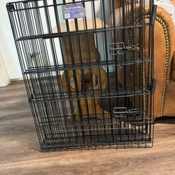 Dog Playpen