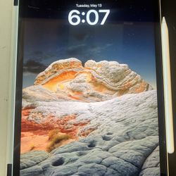 iPad Pro 4th Gen 256gb