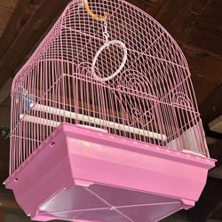 Bird Cage 