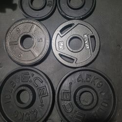Weights 