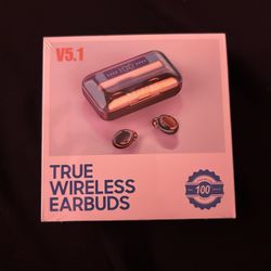 True Wireless Earbuds V5.1