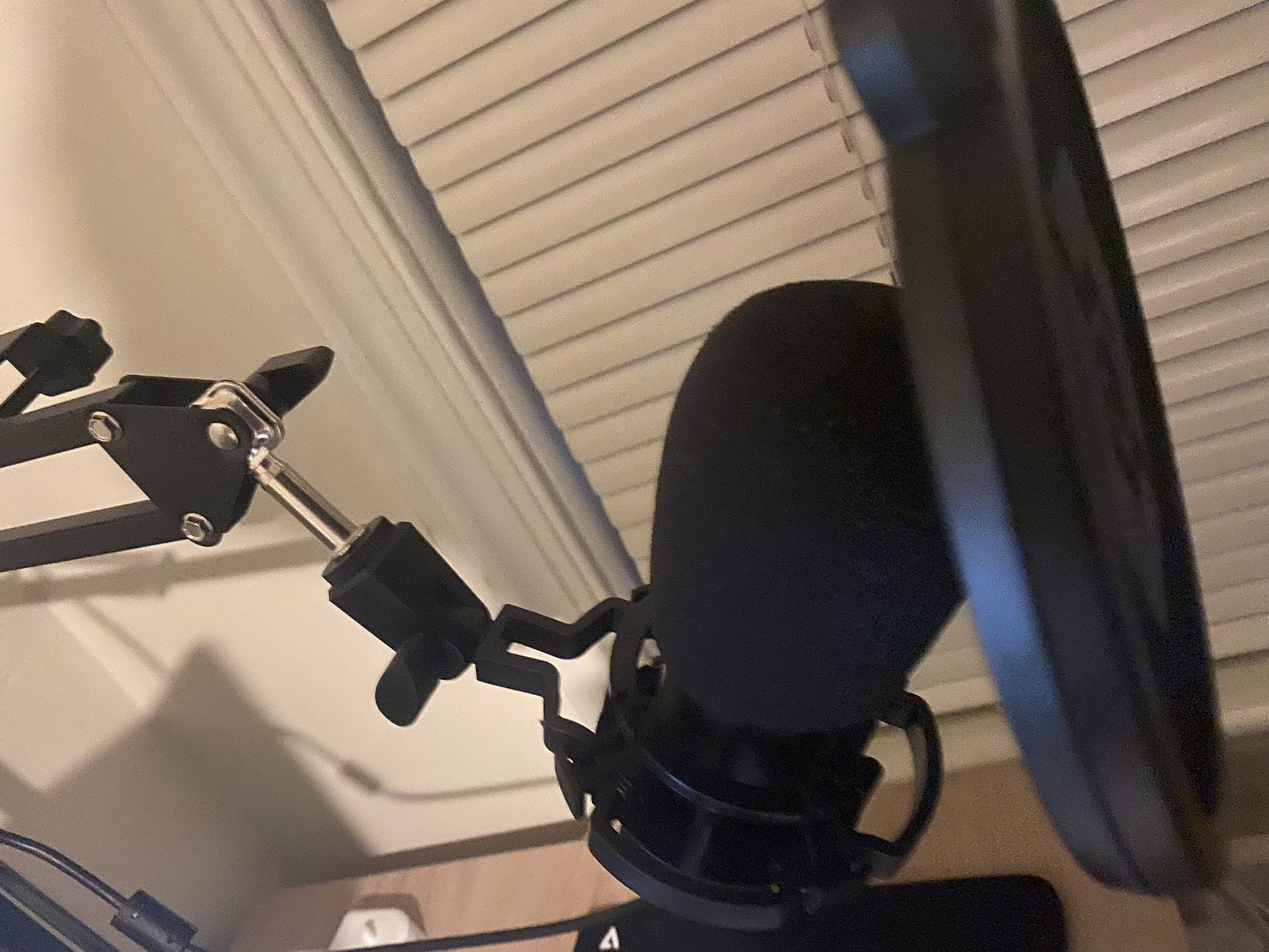 Microphone