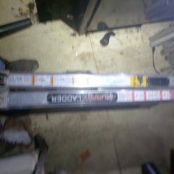 Murphy Ladder 